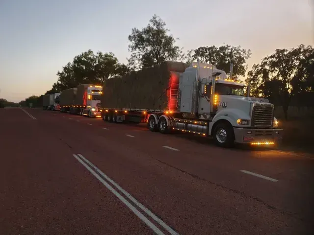 A Truck Is Carrying Hay Bales in A Field — Smillie Transport Pty Ltd in Mackay, QLD