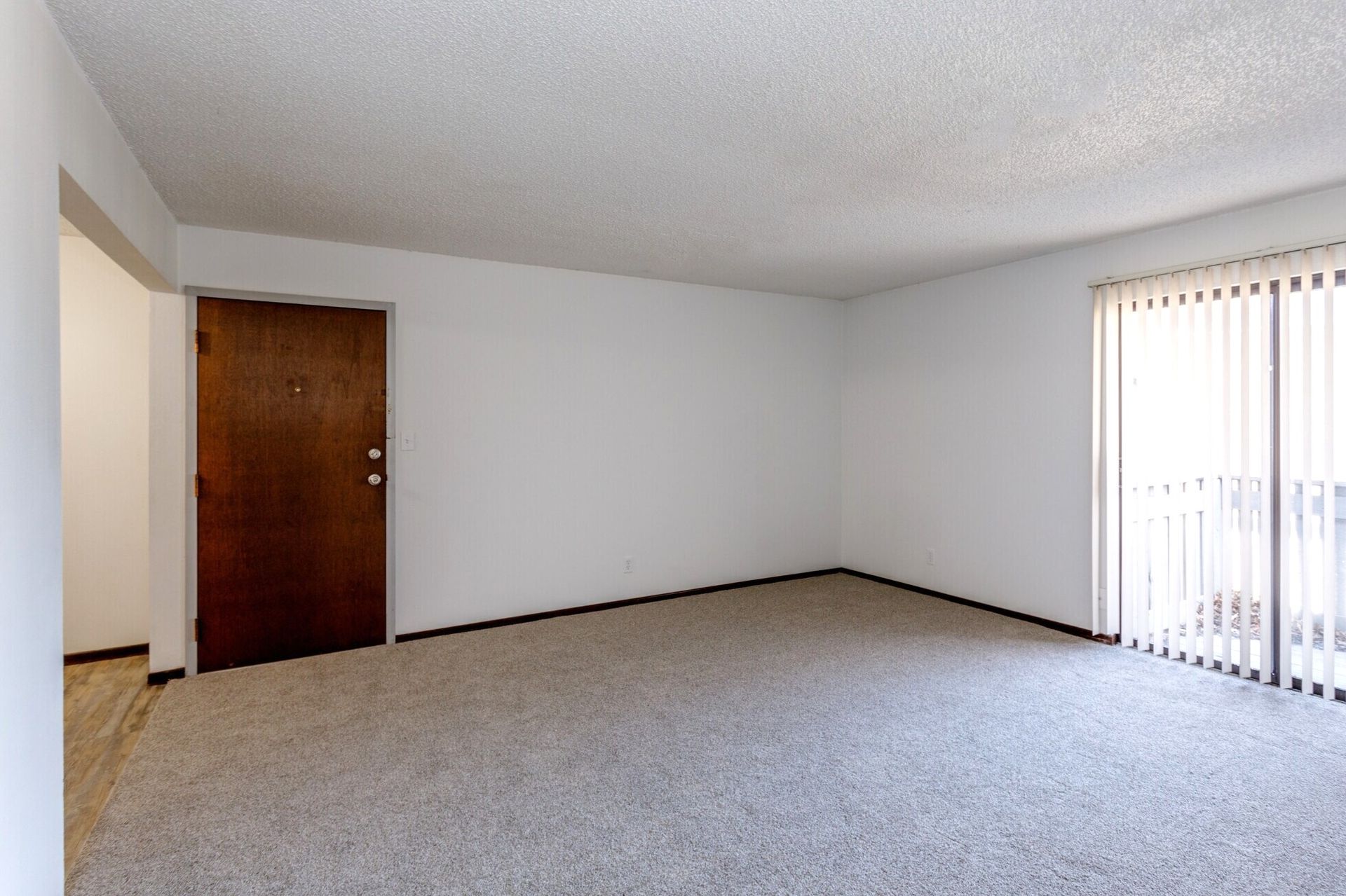 Empty carpeted room with white walls, wood door, and sliding glass door with vertical blinds
