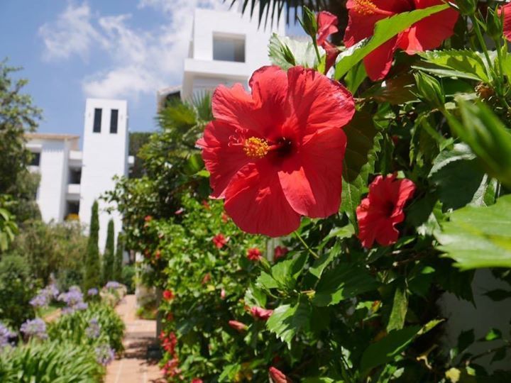 Gorgeous Gardens