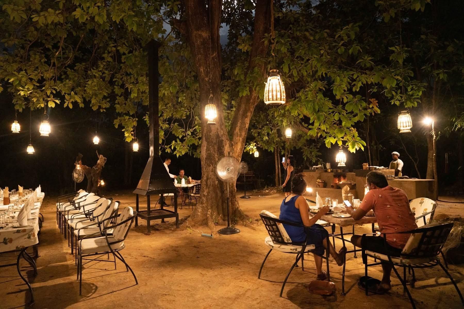 Outdoor café tables under string lights at night, with people dining beneath large trees.