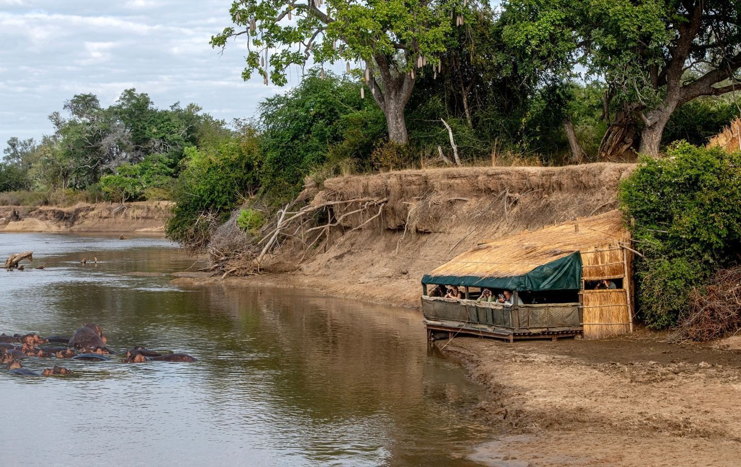 Small riverbank with calm water, sandy shore, green trees, and a covered wooden crate or trough on the bank