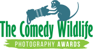 The Comedy Wildlife Photography Awards logo with a camera-wielding chimp above green text