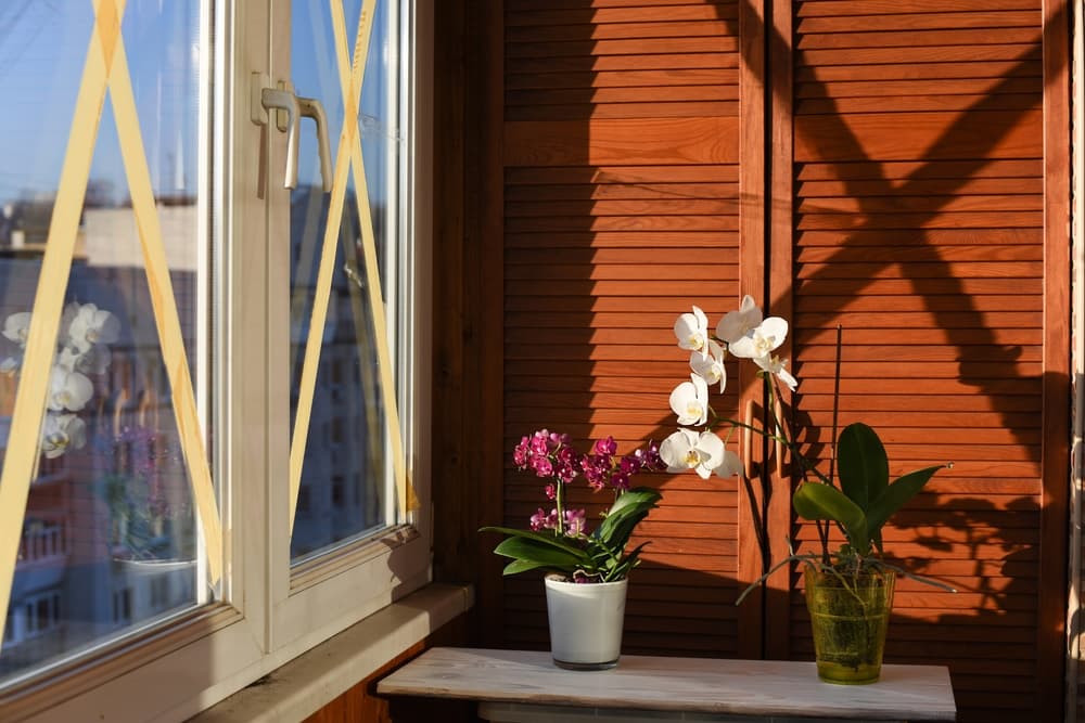 Hurricane Windows vs. Taping Windows