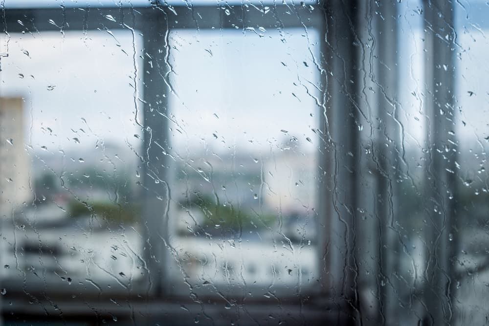 types of impact windows