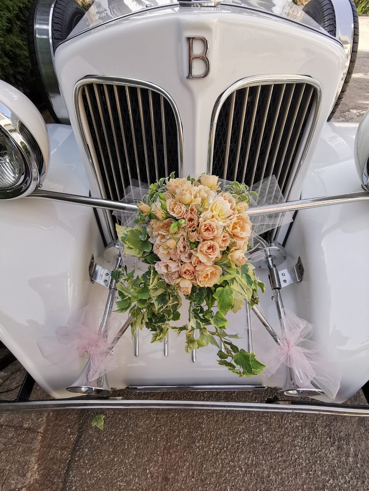 MATRIMONI