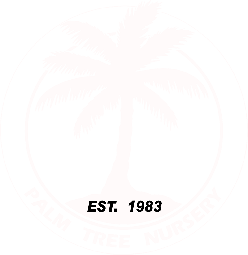 palm tree nursery logo
