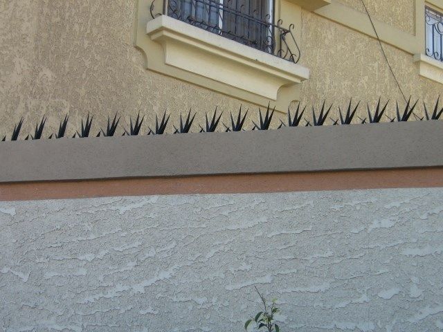 CERCOS CRUBER