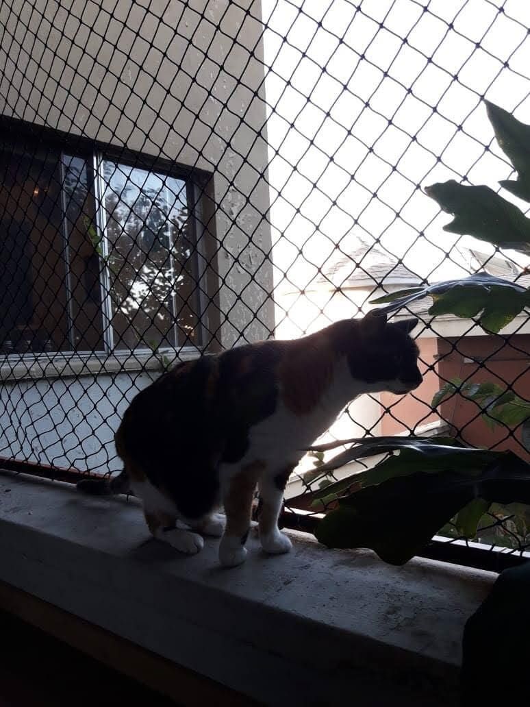 CERCOS CRUBER