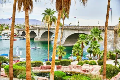 London bridge in the background with the water palms are forefront