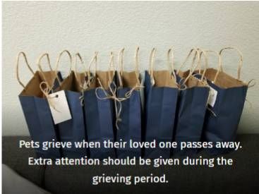 Blue paper gift bags lined up on a table with a caption about pets grieving after a loved one dies.