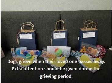 Three dog bereavement gift bags on a couch with a note about grief after a pet dies.