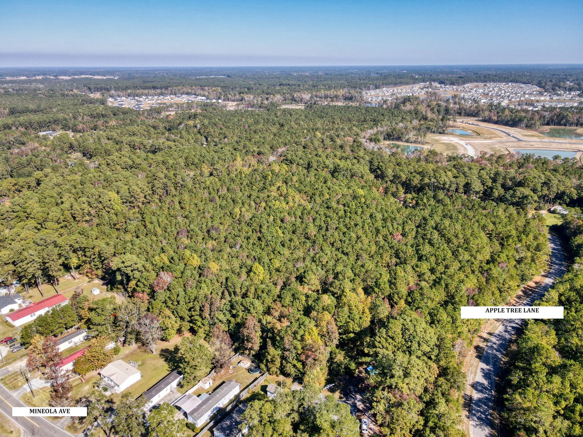Aerial view of a wooded area with houses and a road visible. Bright blue sky.