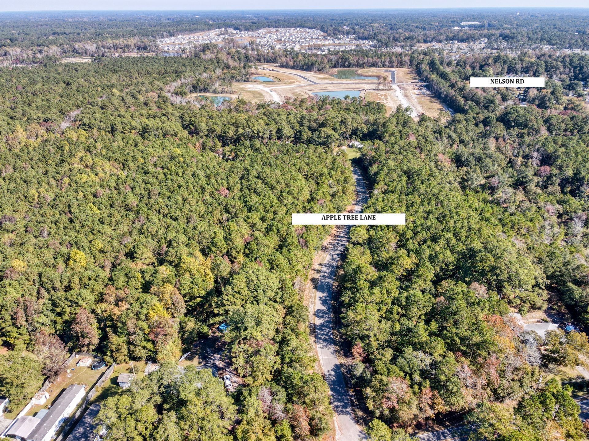 Aerial view of a road cutting through a dense forest; housing in the background.