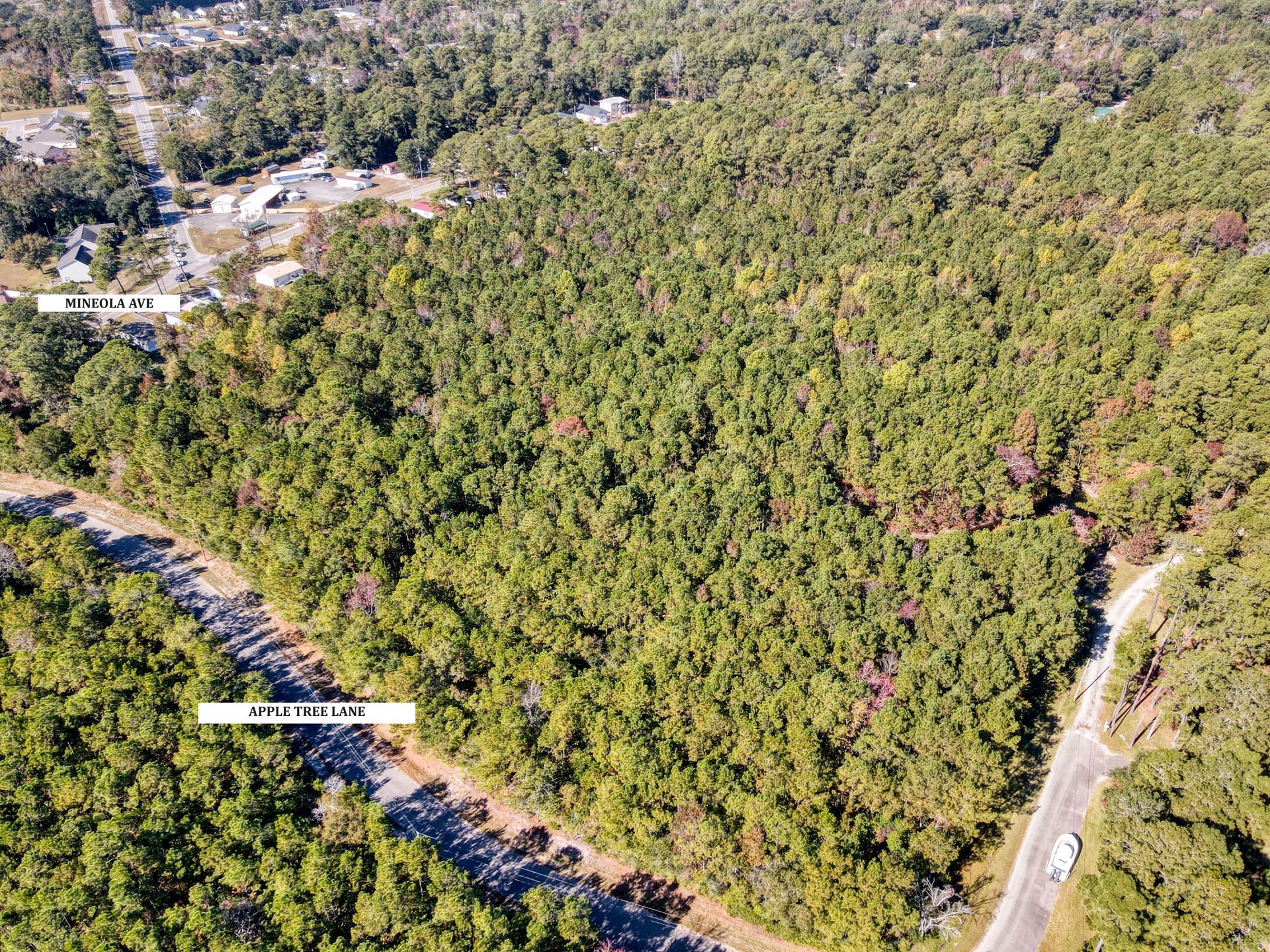 Aerial view of dense green forest bordering roads and a few buildings.