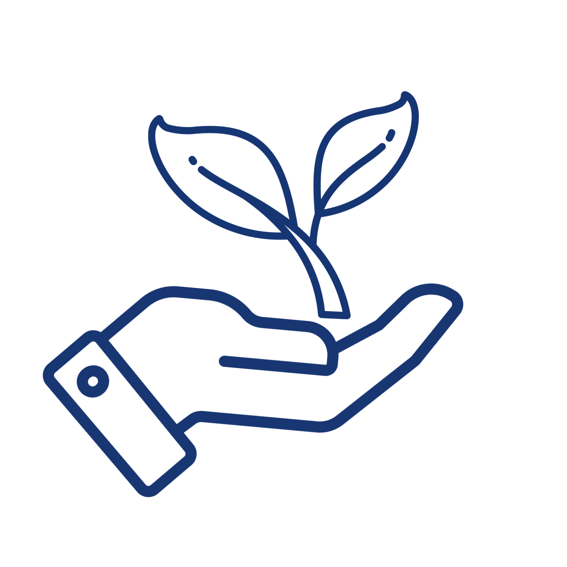Hand holding a growing sprout, suggesting growth or nurturing.