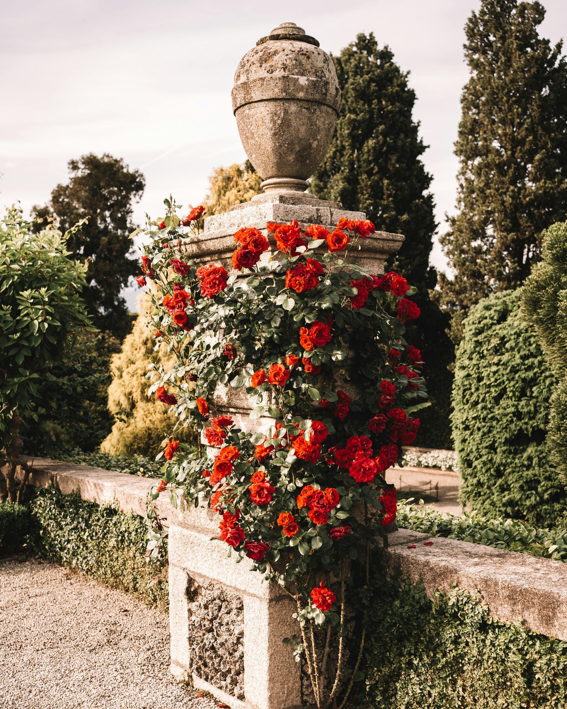 Cremation Process Explained