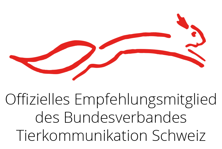 Logo BVTKS