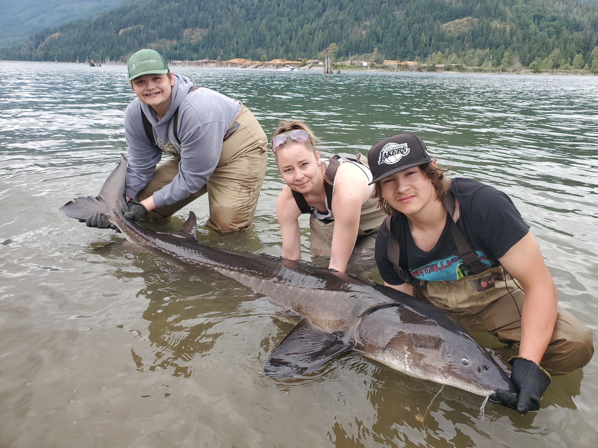 Three people kneel beside a huge fish in shallow water near a forested lake shore.