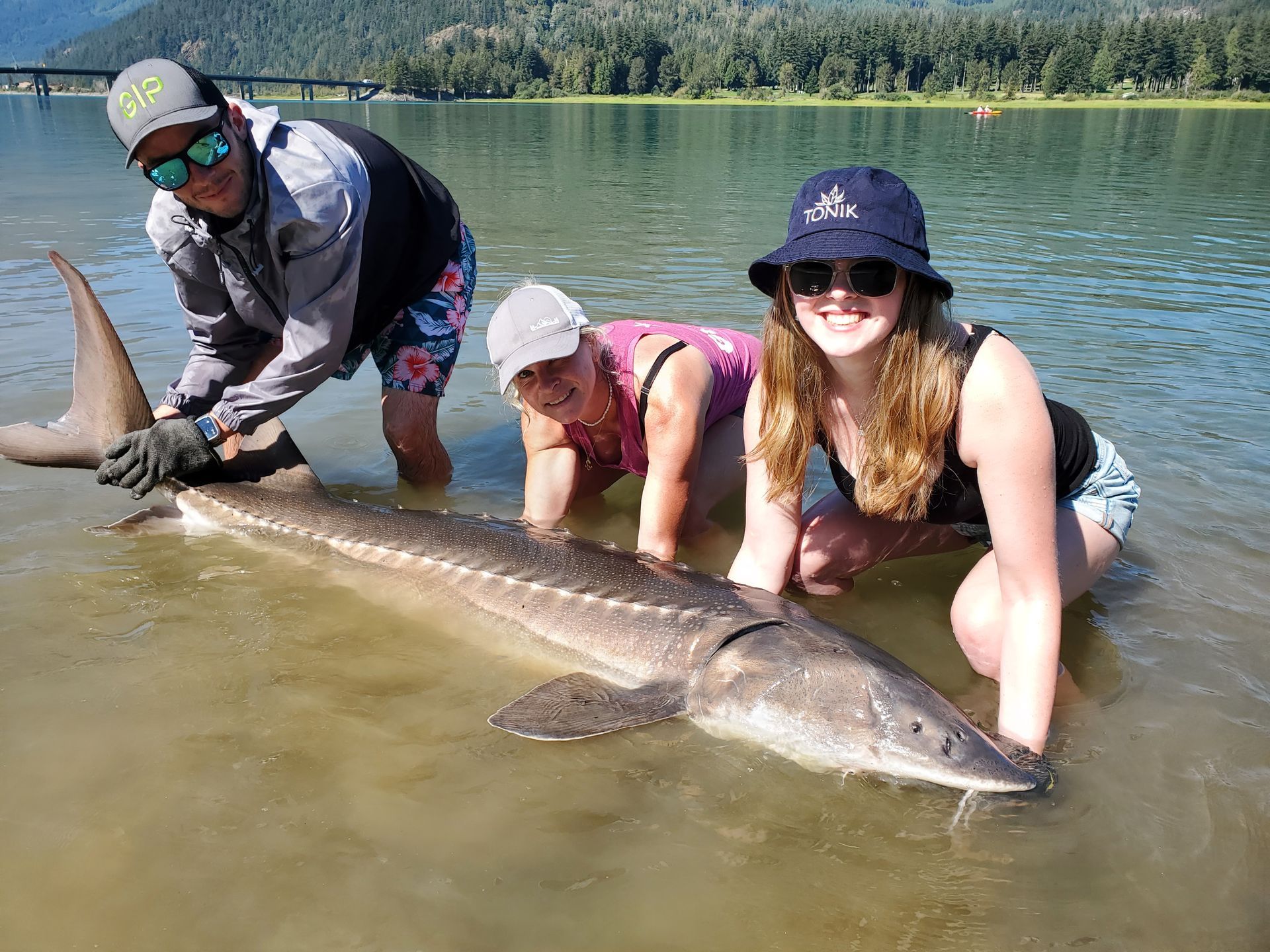 Three people kneel in shallow water beside a large fish on a sandy lake shore.