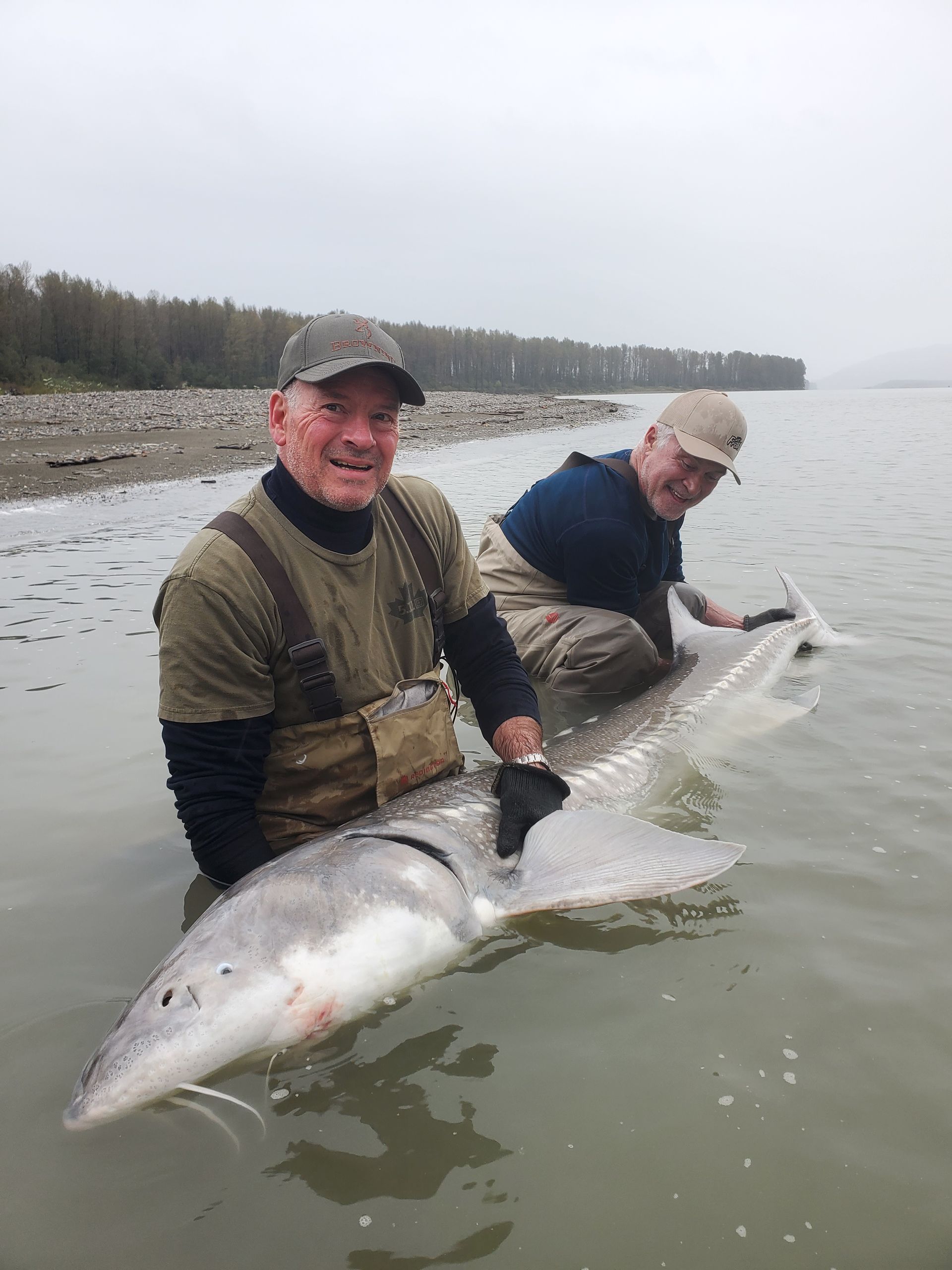 Two anglers holding a large fish at the shoreline on a cloudy beach.