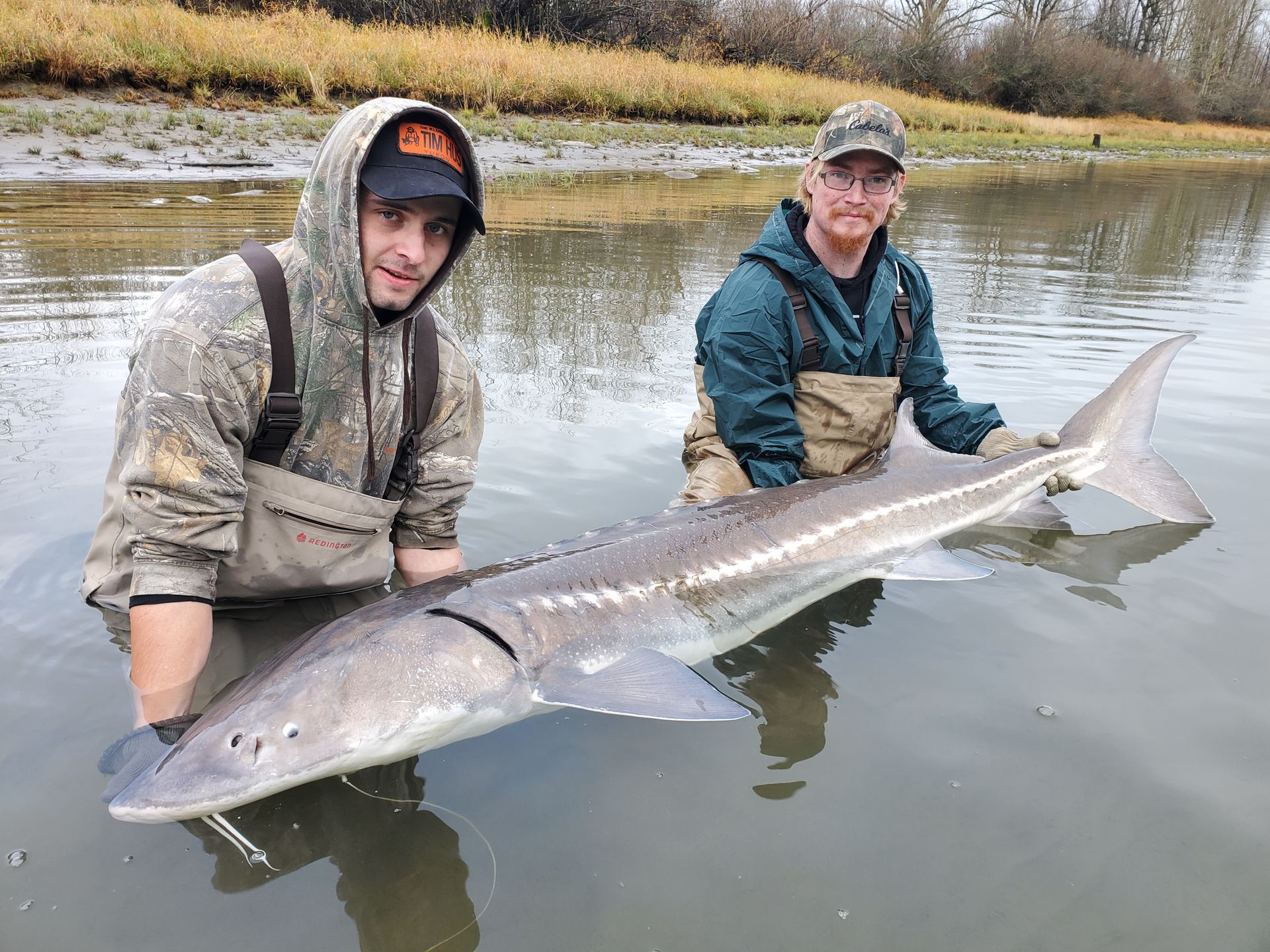 Two anglers in a shallow river holding a large fish together at the water’s edge.