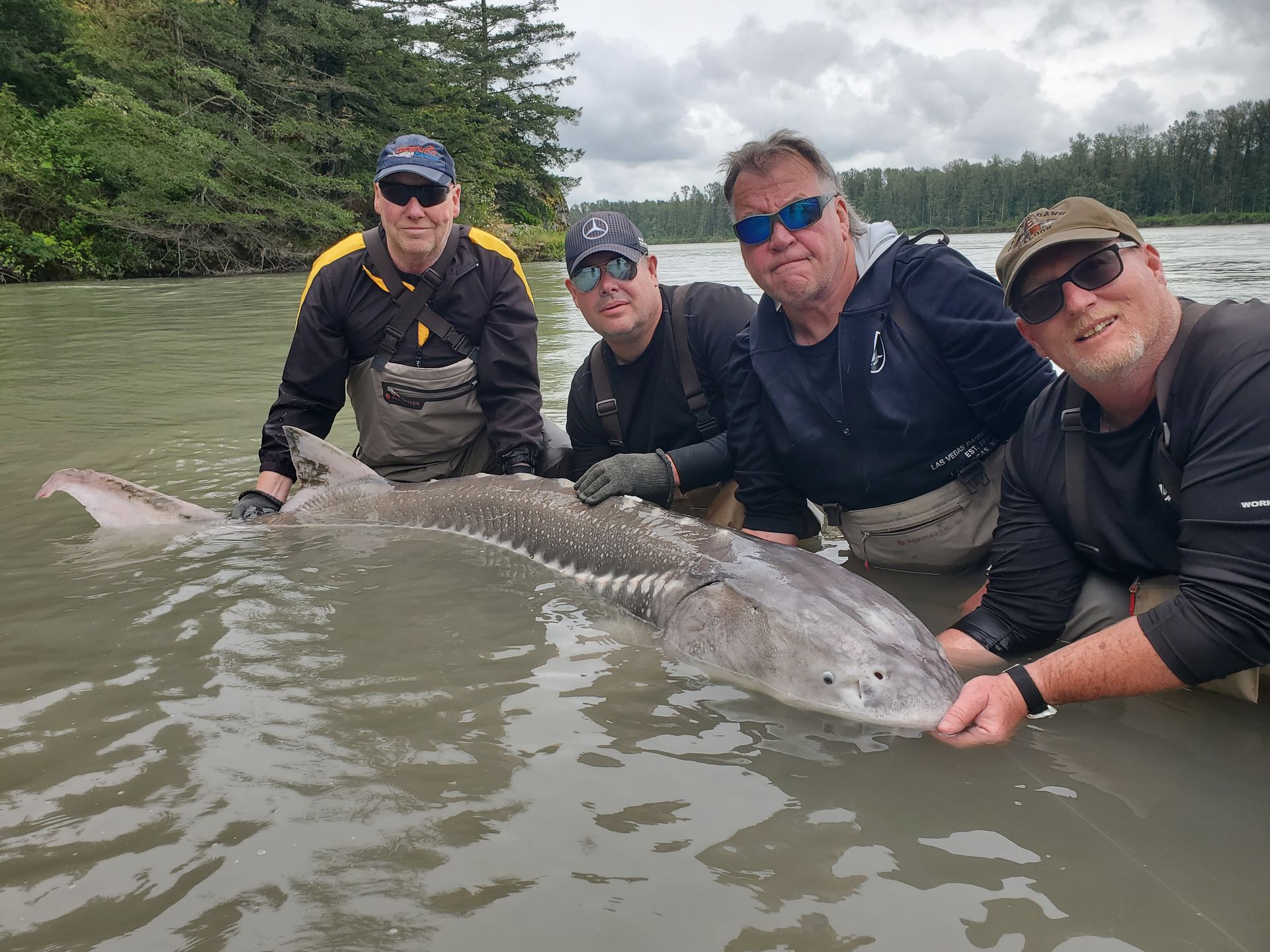 Four anglers in a river holding a large fish, with wooded banks in the background