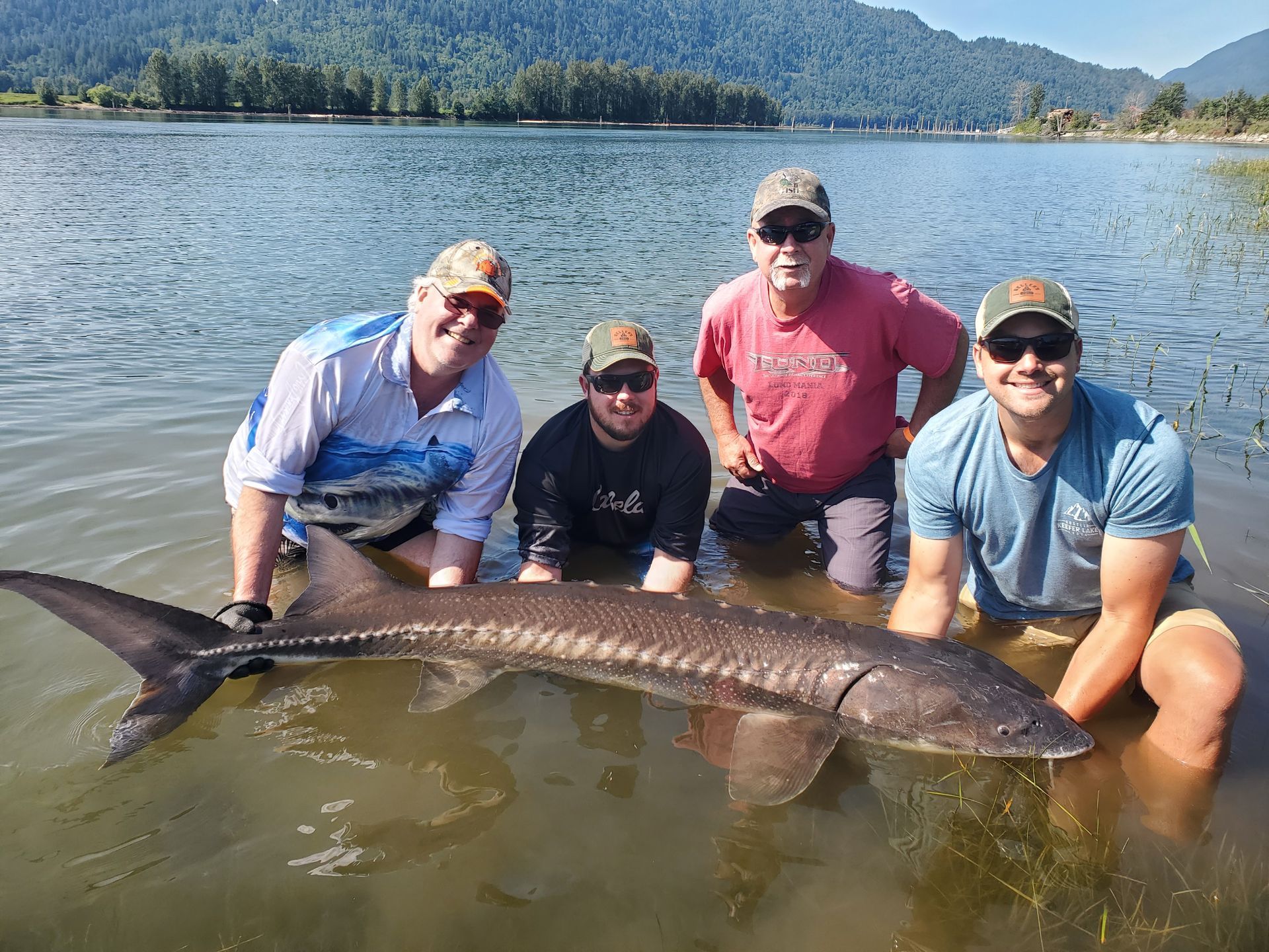Four people posing with a large sturgeon in shallow lake water, mountains and forest in the background