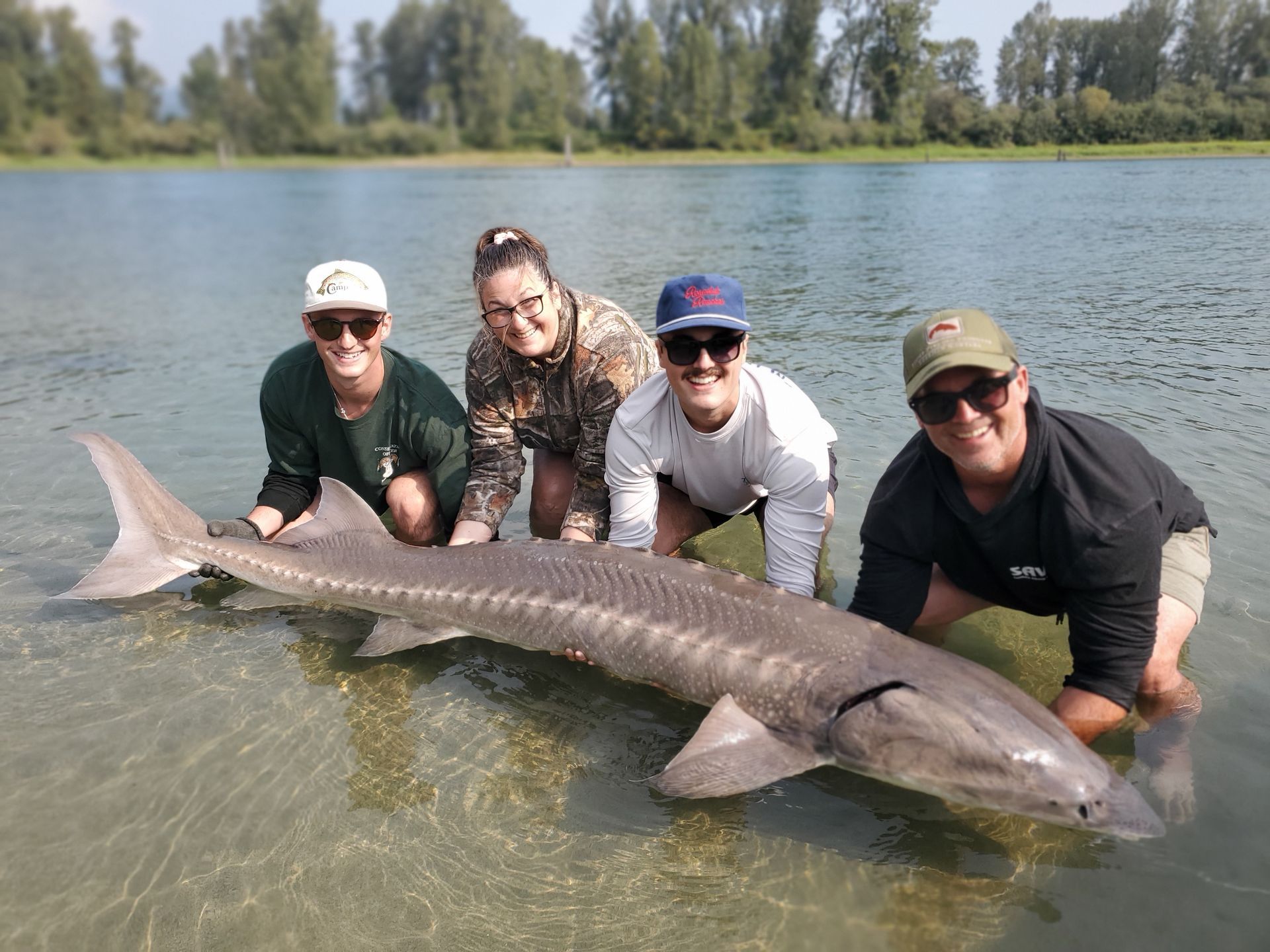 Four people kneel beside a large sturgeon in shallow lake water on a sunny day