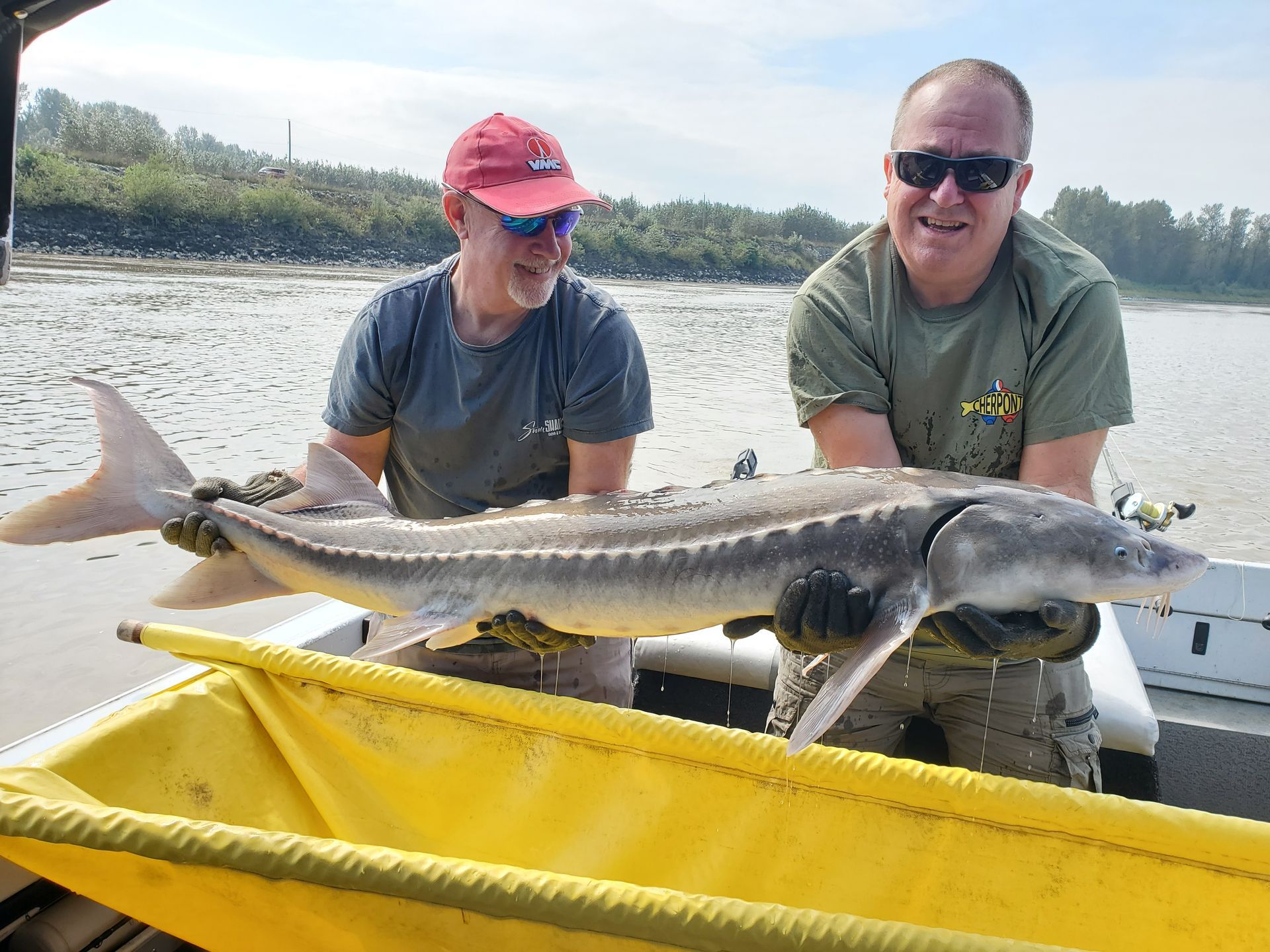Two people hold a large fish over a yellow measuring board on a boat, with water and shoreline behind them.