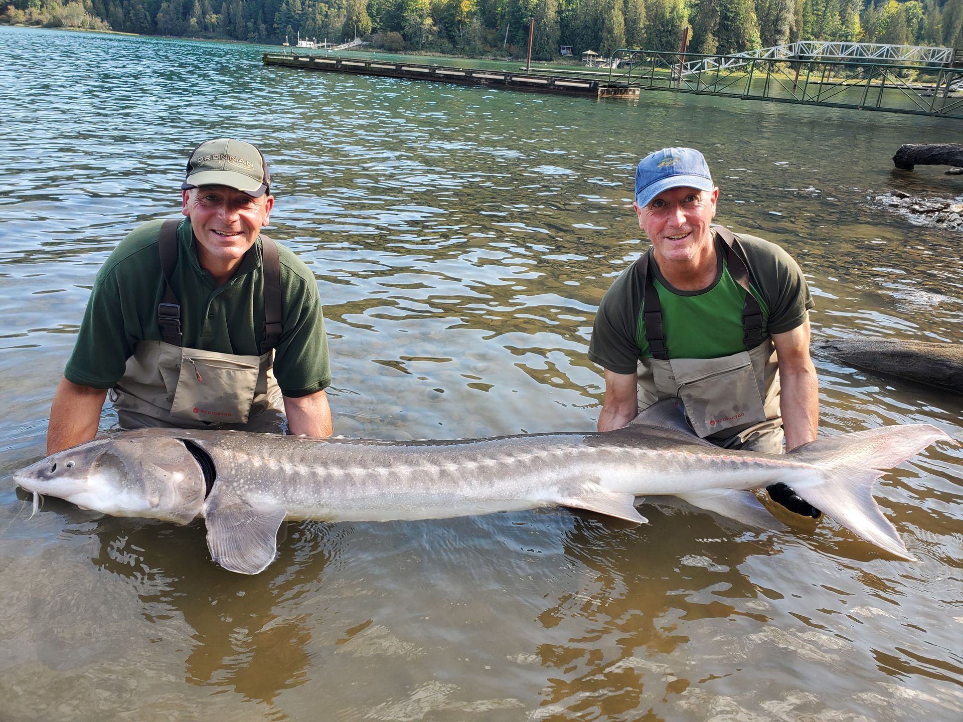 Two anglers kneel in shallow water, holding a large fish on a lakeshore.
