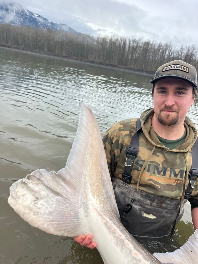 Angler holding a large pale fish in a lake, with cloudy sky and bare trees behind him.