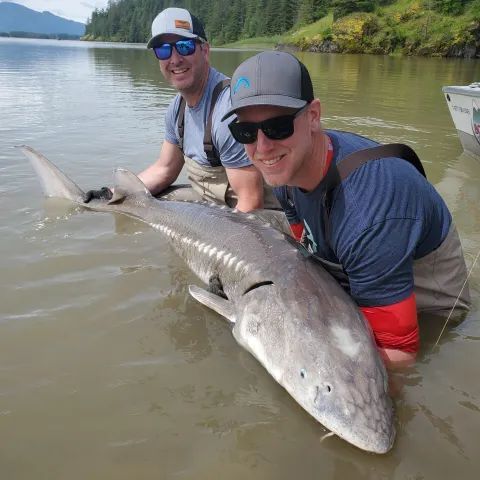 Two anglers holding a large fish in shallow lake water, smiling in caps and sunglasses.