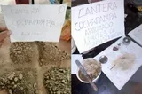 Dos carteles escritos a mano sobre bandejas con tierra, guijarros y una cuchara sobre una mesa.