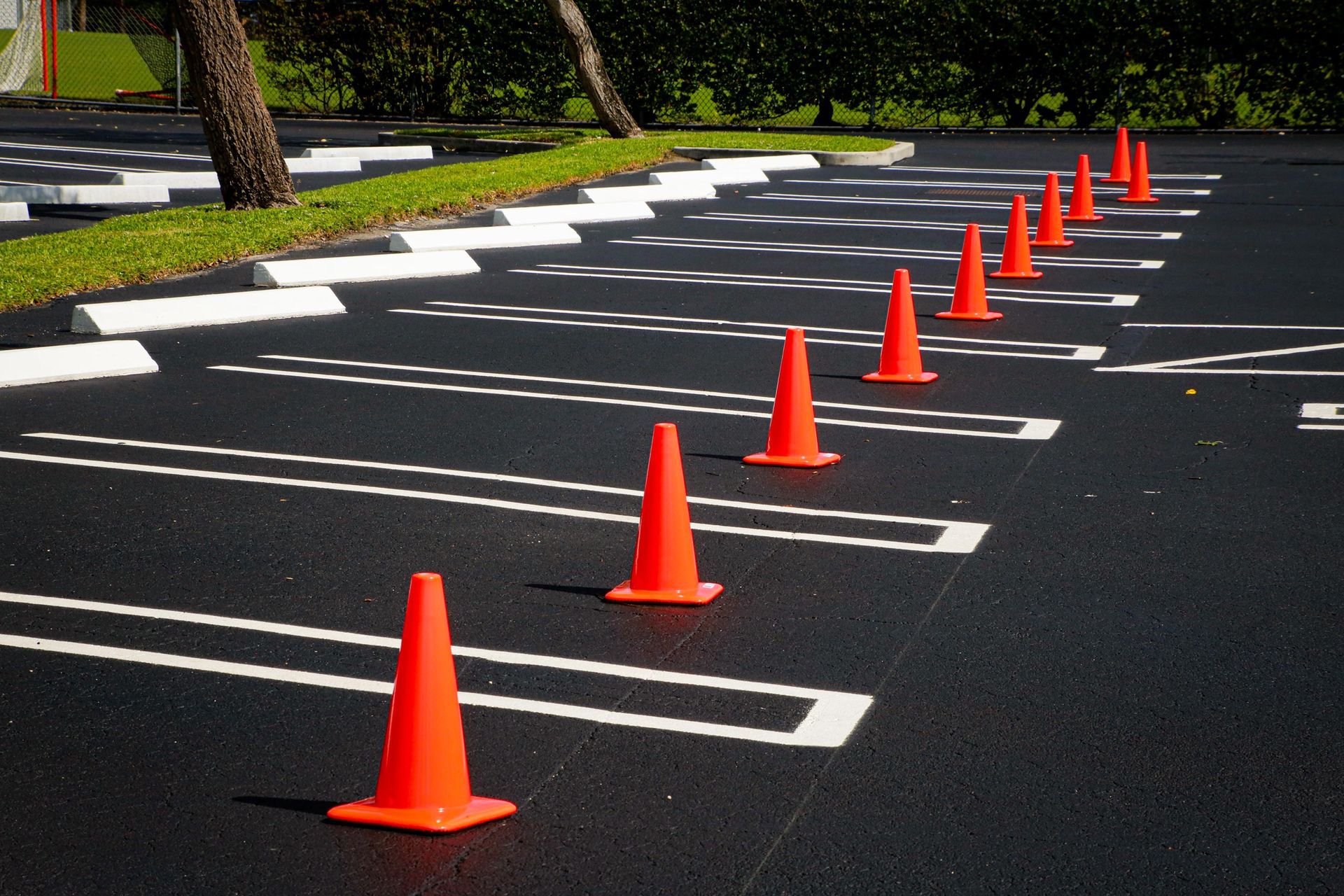 A row of bright orange traffic cones placed along painted parking stall lines in an empty asphalt parking lot.