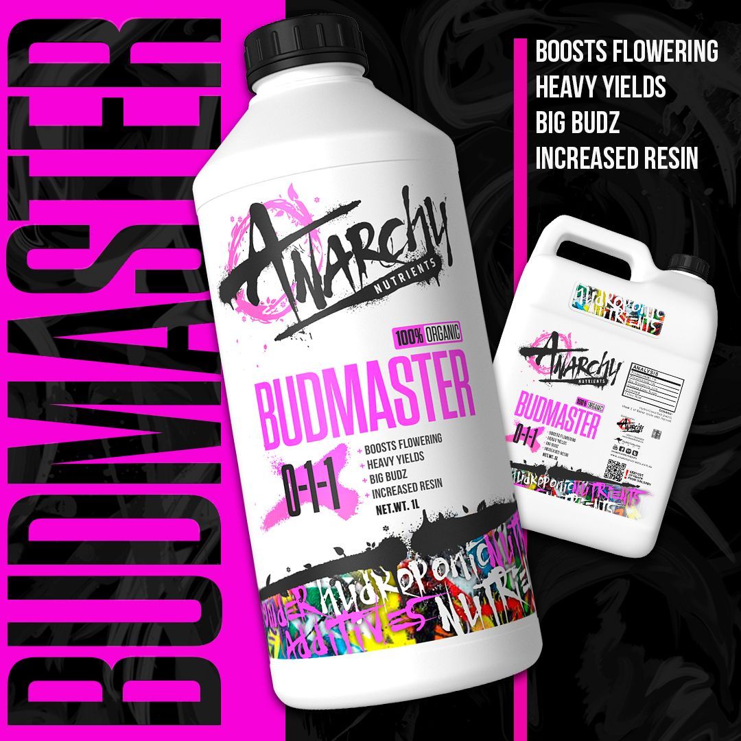 A Bottle Of Anarchy Budmaster Is On A Pink Background — Wide Bay Hydroponics In Saint Helens, QLD