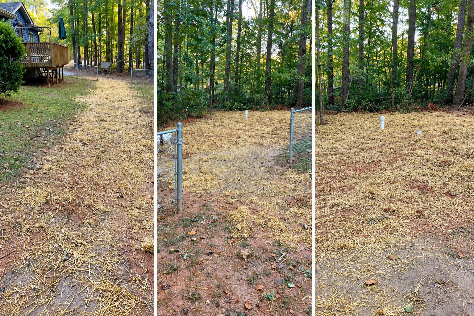 Property after a septic tank replacement by RVA Site Services