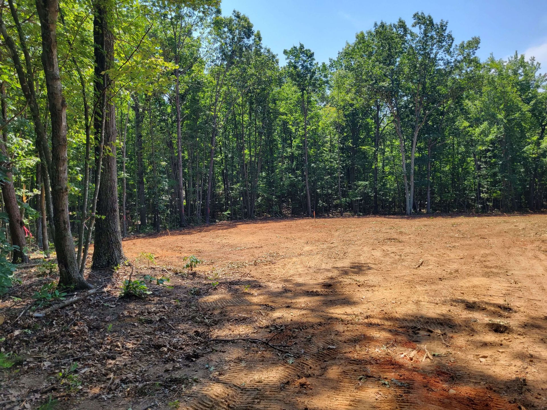 After photo of a cleared piece of land where brush, trees, and unwanted vegetation were removed.