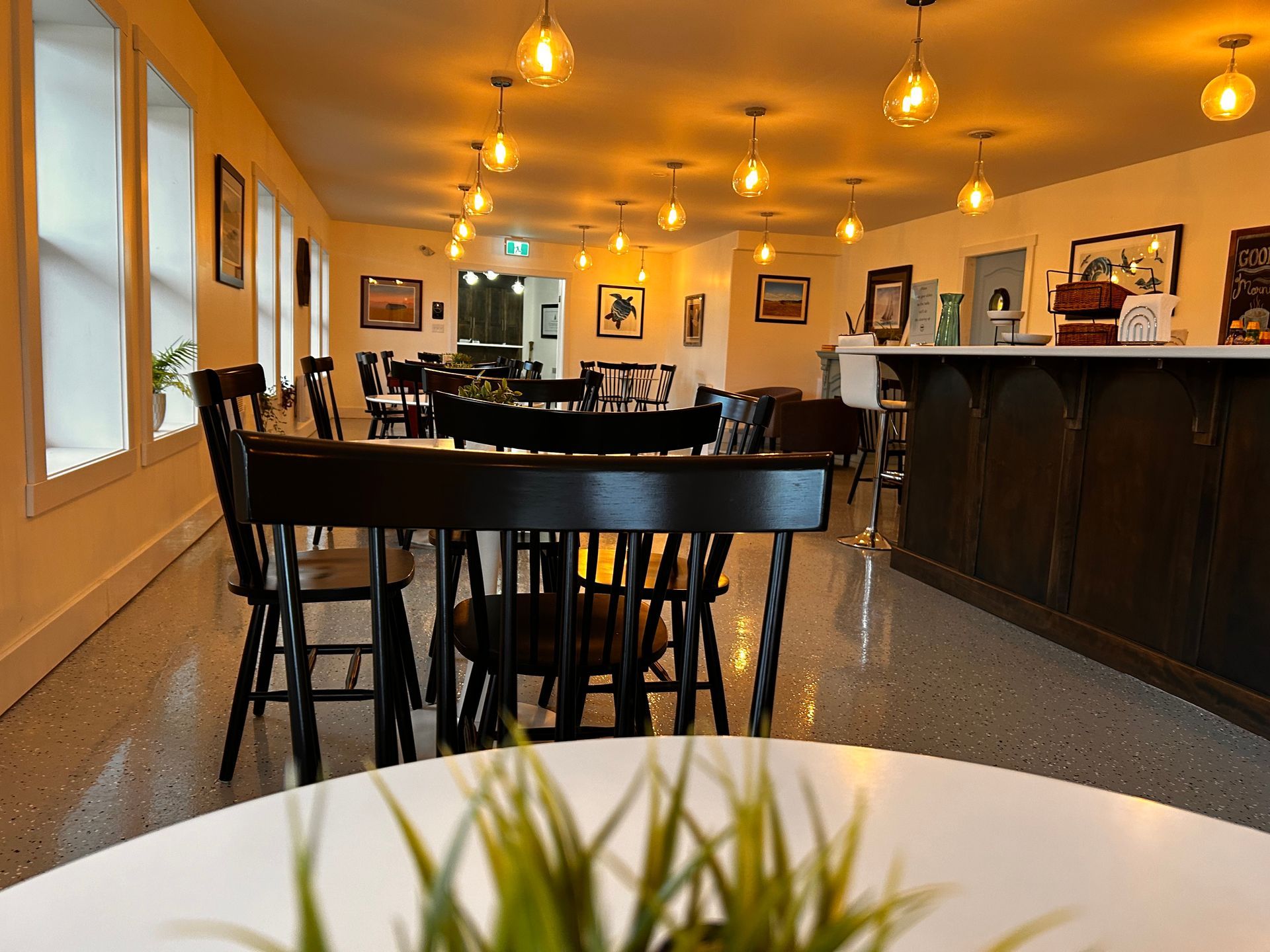 A restaurant with tables and chairs and a plant on the table