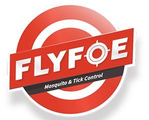 FlyFoe
