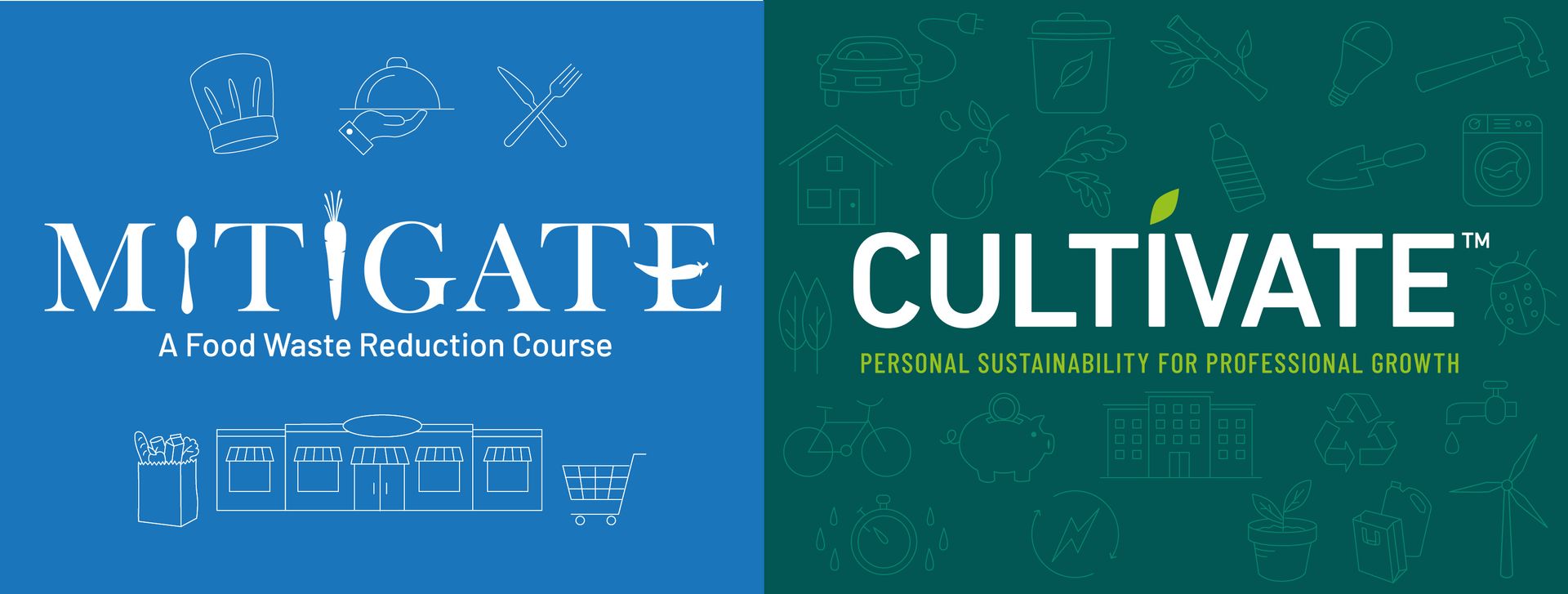 Two Courses, One Mission: Building Sustainability Practitioners Who Are ...