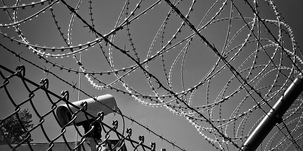 Barb Wires Barb Wires