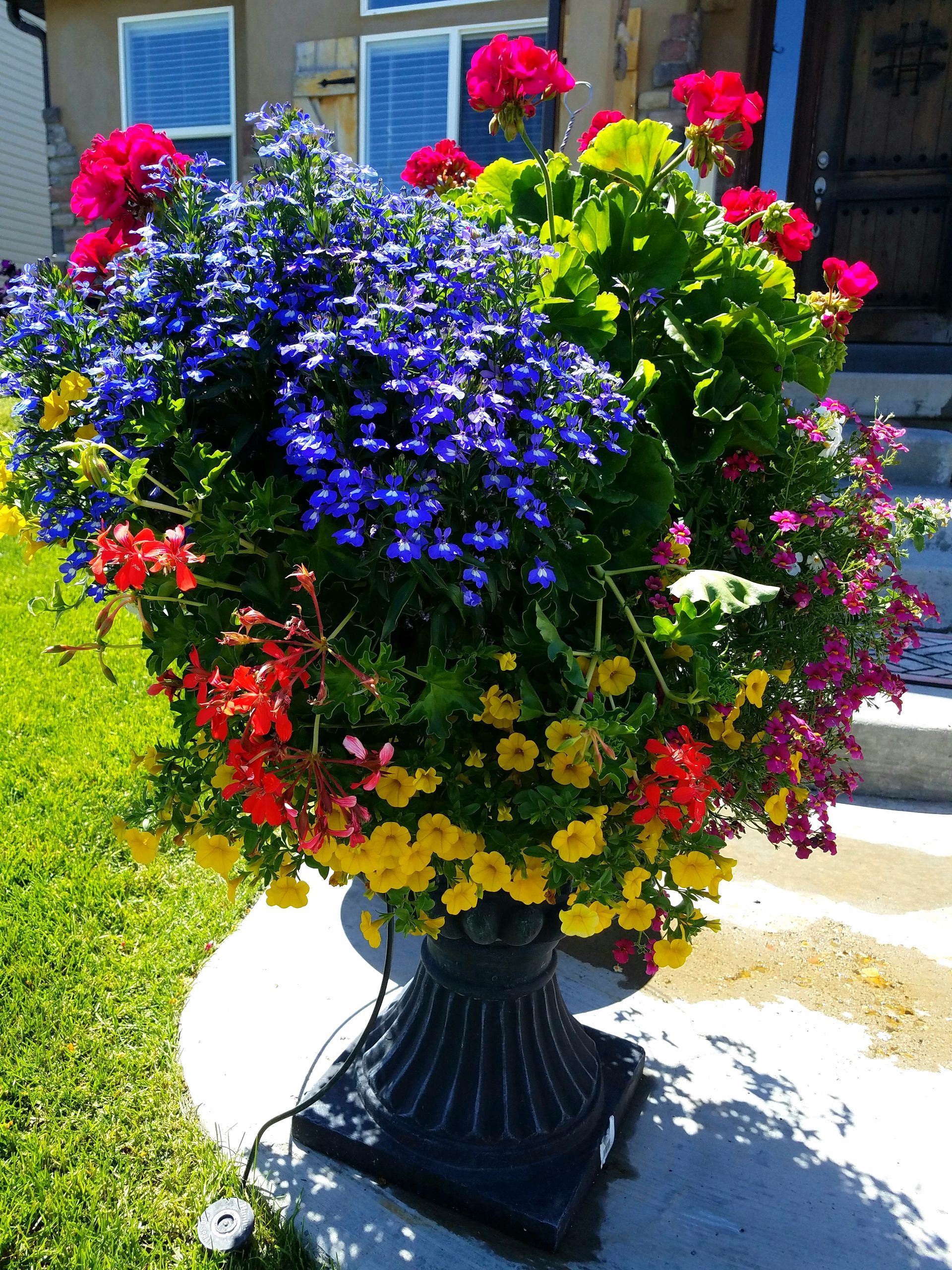 Garden soil for garden boxes in Salt Lake City | Mark's Lawn and Garden