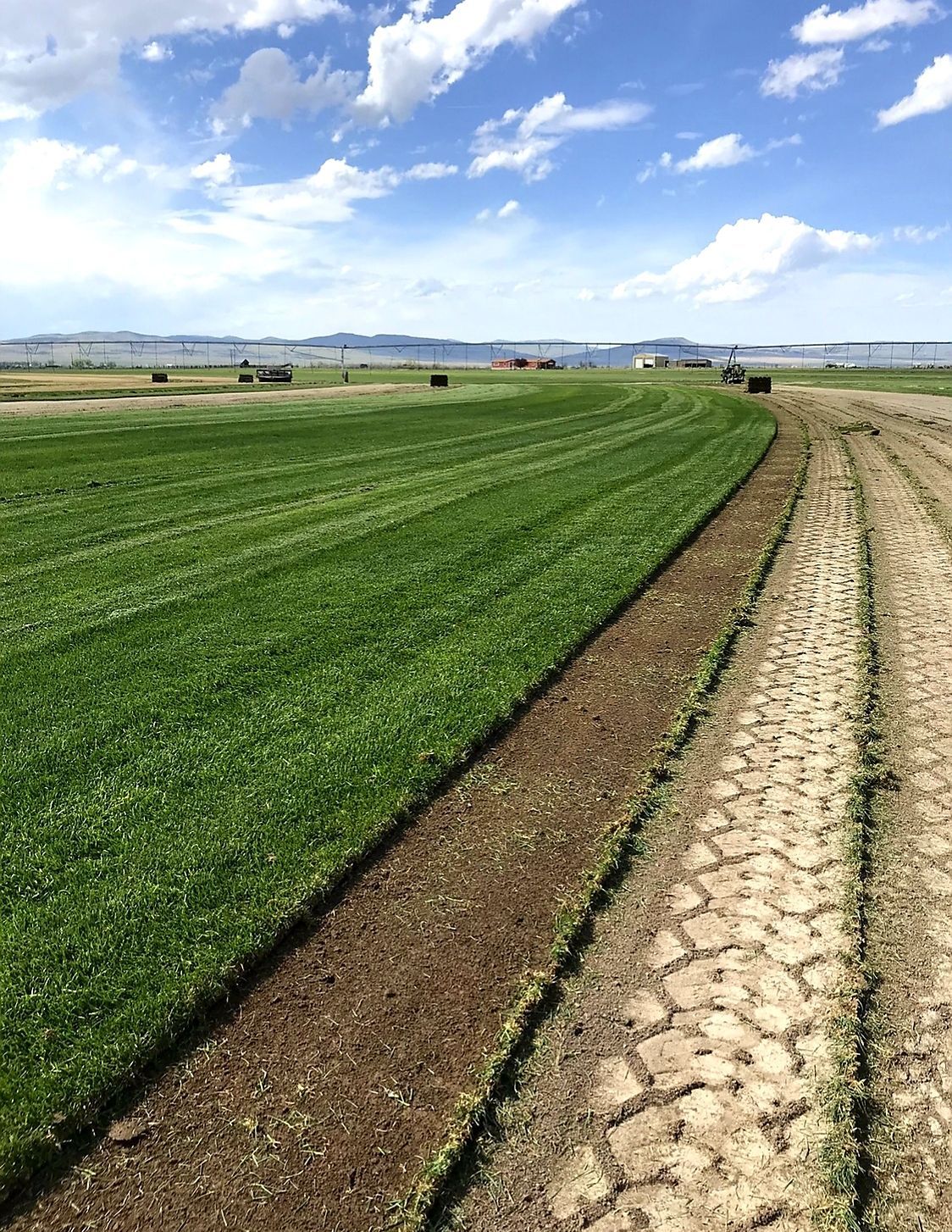 Sod Delivery and Installation in Salt Lake City | Mark's Lawn and Garden