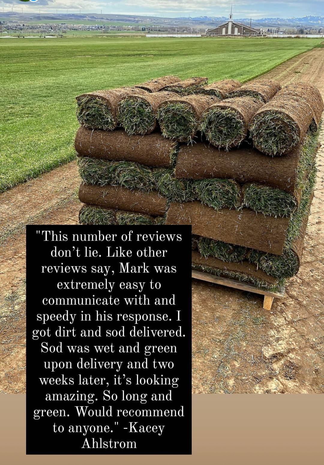 Sod delivery and installation in Salt Lake City | Mark's Lawn and Garden
