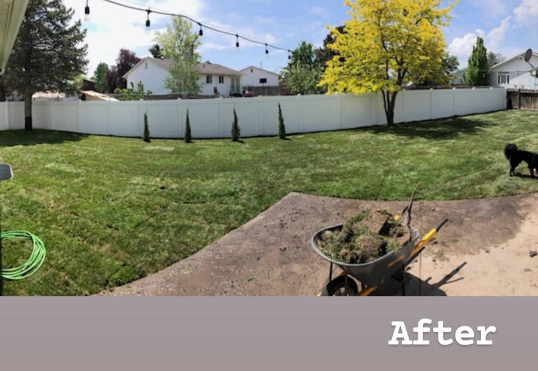 Backyard transformation showing freshly installed sod, wheelbarrow with soil, and string lines for new lawn edging