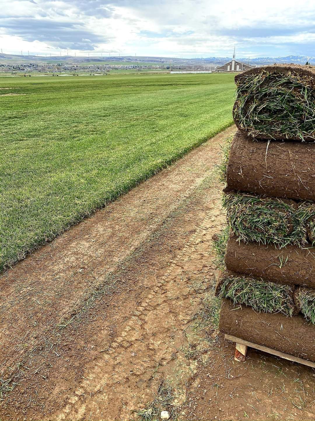 Sod Delivery and Installation in Salt Lake City | Mark's Lawn and Garden