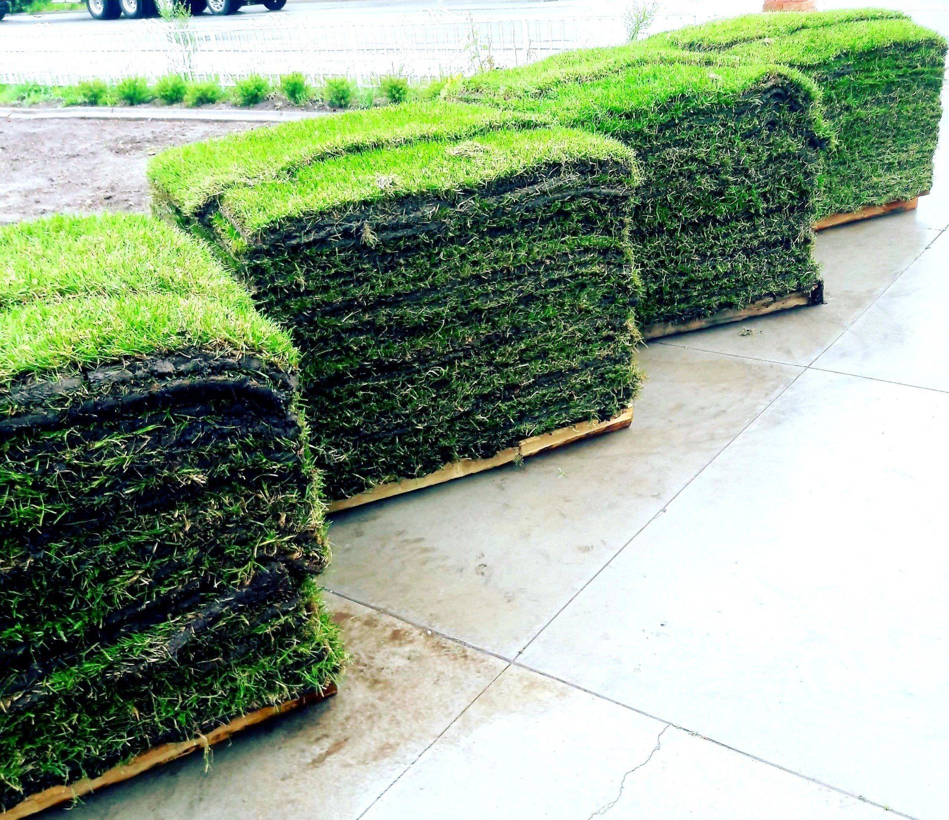 Multiple pallets stacked with fresh green sod rolls ready for lawn installation in a landscaping project