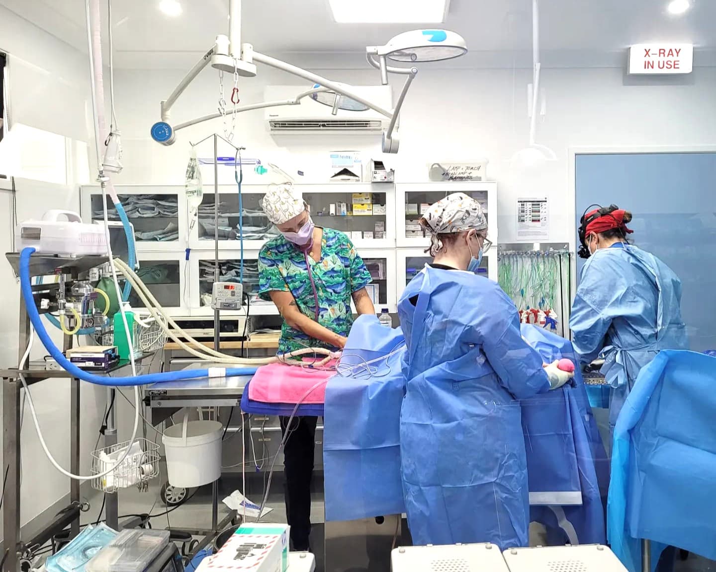 Vet Clinic Lennox Head Lennox Head Vet Clinic