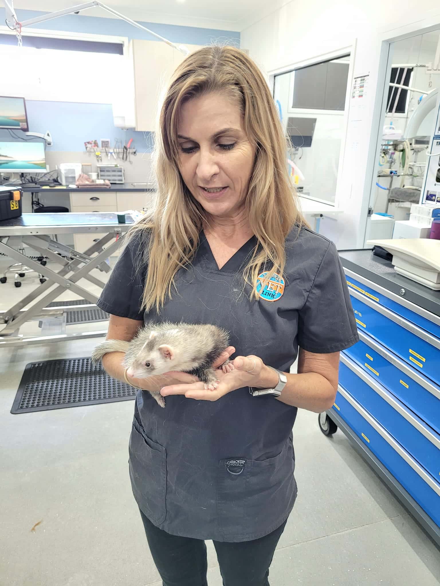 Lennox Head Vet Clinic Gallery