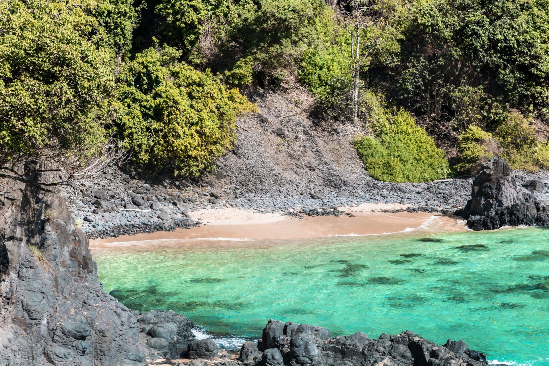 Fernando de Noronha - EcoCharme